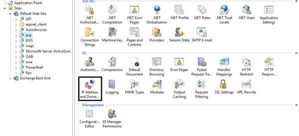IP Address and Domain Restrictions